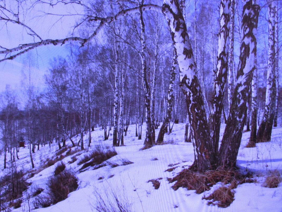Апрельский лес - Людмила Смородинская Апрельский лес - Людмила Смородинская