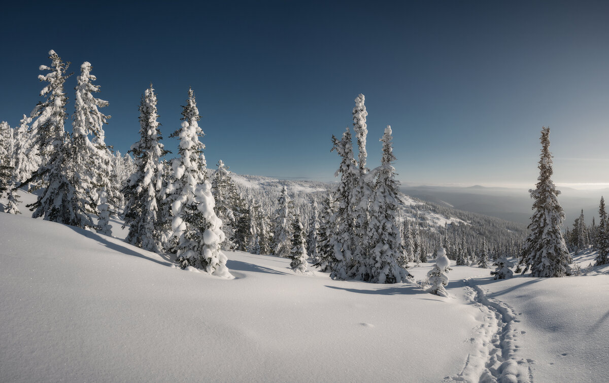 * - Александр Иванов * - Александр Иванов
