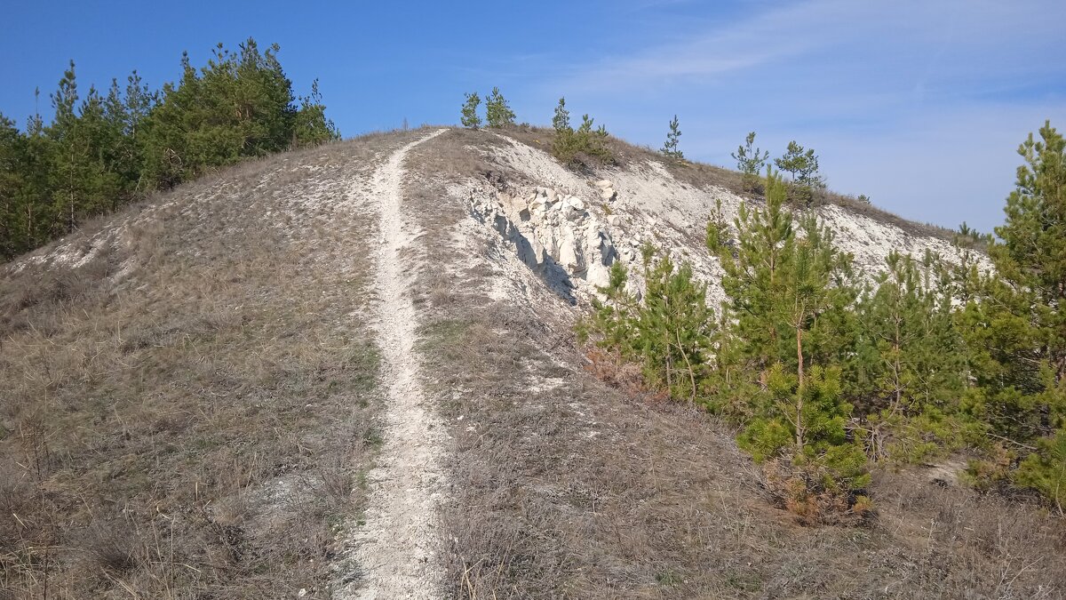 Хвалынские просторы - Елена Шаламова