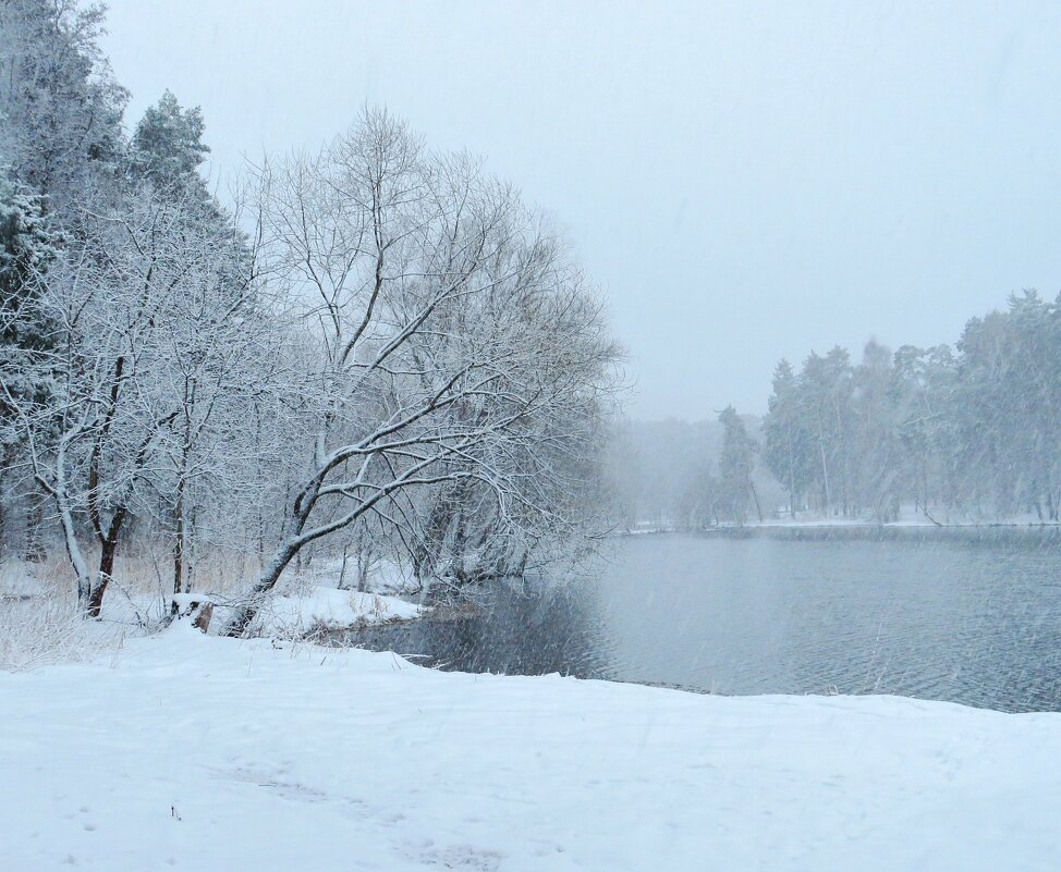 Возвращение зимы - Андрей Снегерёв