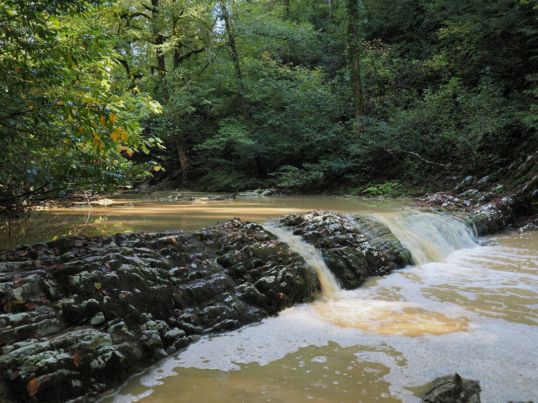 Из прогулки вдоль реки Агура. - Евгений Седов Из прогулки вдоль реки Агура. - Евгений Седов