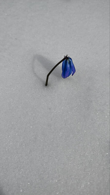 Апрельский снег - Дмитрий Коноплев