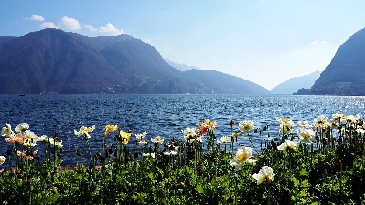 Весна в Швейцарии - Civetta *** Весна в Швейцарии - Civetta ***