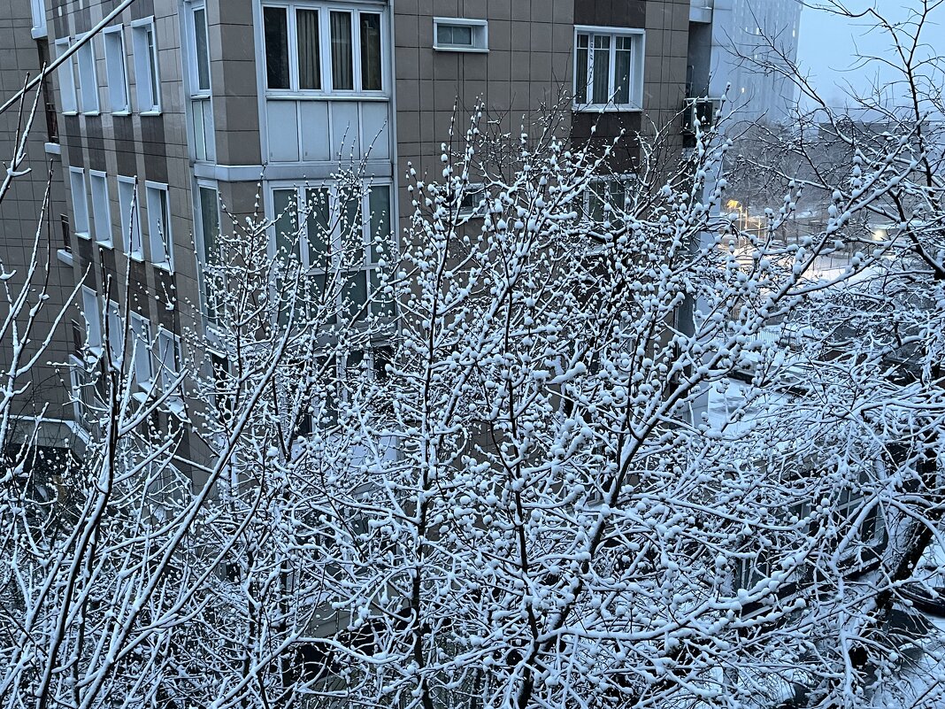 Снегопад в апреле. - Ирина 