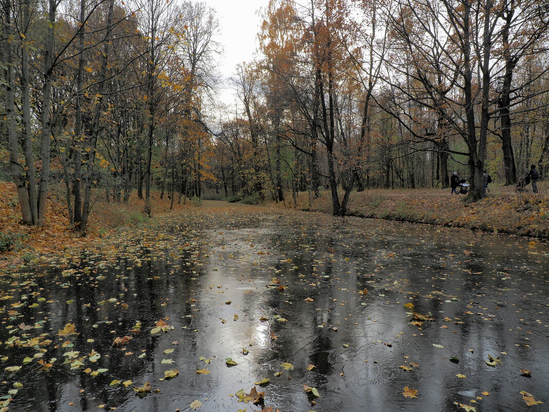 Осенние заморозки - Евгений Седов Осенние заморозки - Евгений Седов