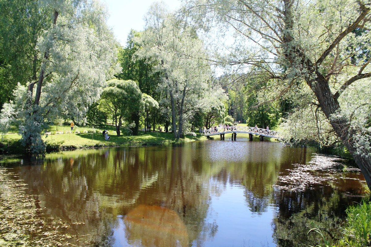 Мостик над прудом в Михайловском - Олег Зоркий Мостик над прудом в Михайловском - Олег Зоркий