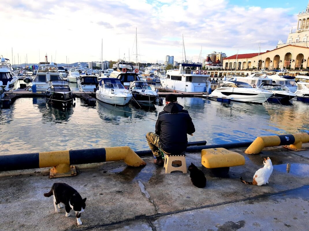 ПОРТ СОЧИ. АПРЕЛЬ 2025 - Tata Wolf ПОРТ СОЧИ. АПРЕЛЬ 2025 - Tata Wolf