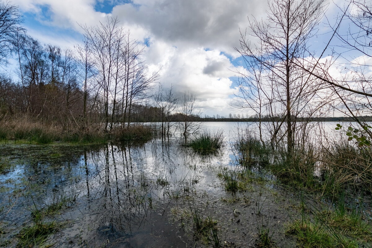 Через край... - Николай Гирш