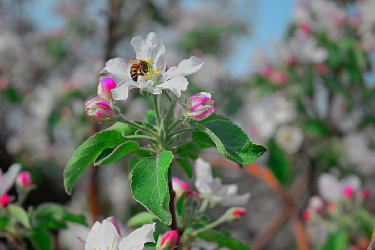 труженик - Николай труженик - Николай