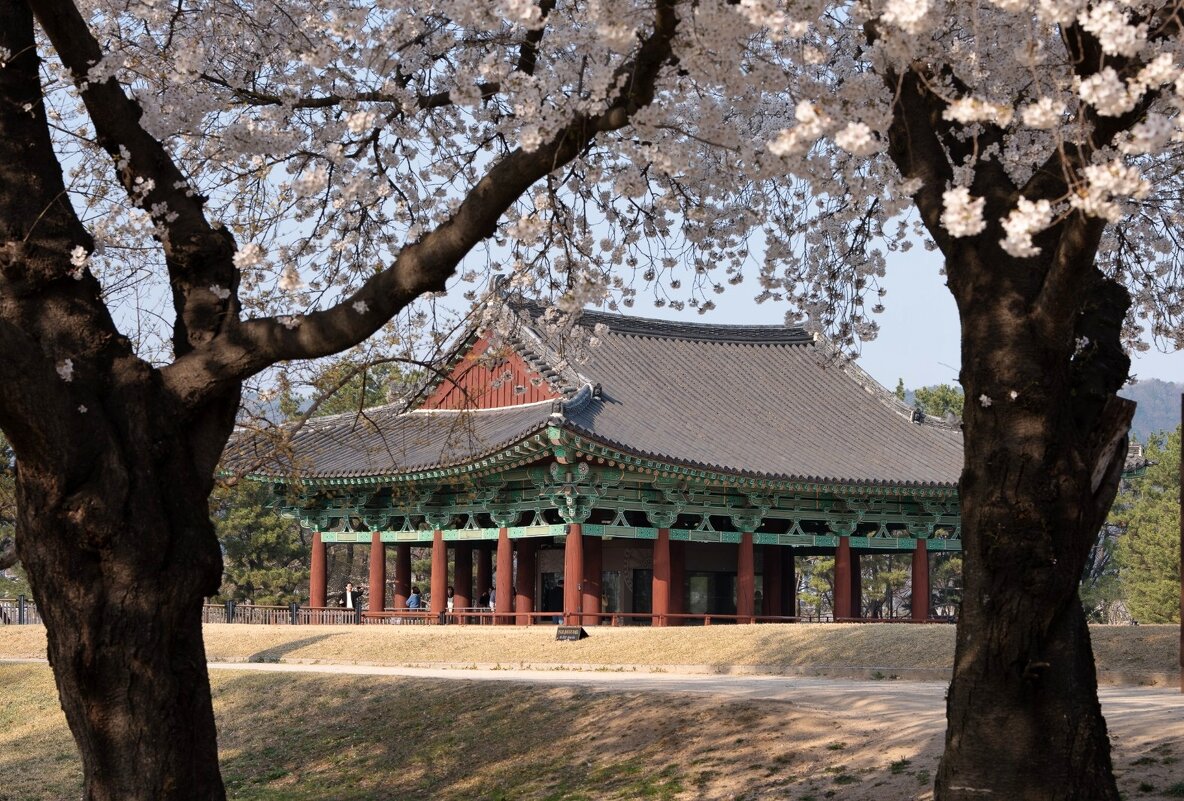 Корейские зарисовки - Сергей Б.