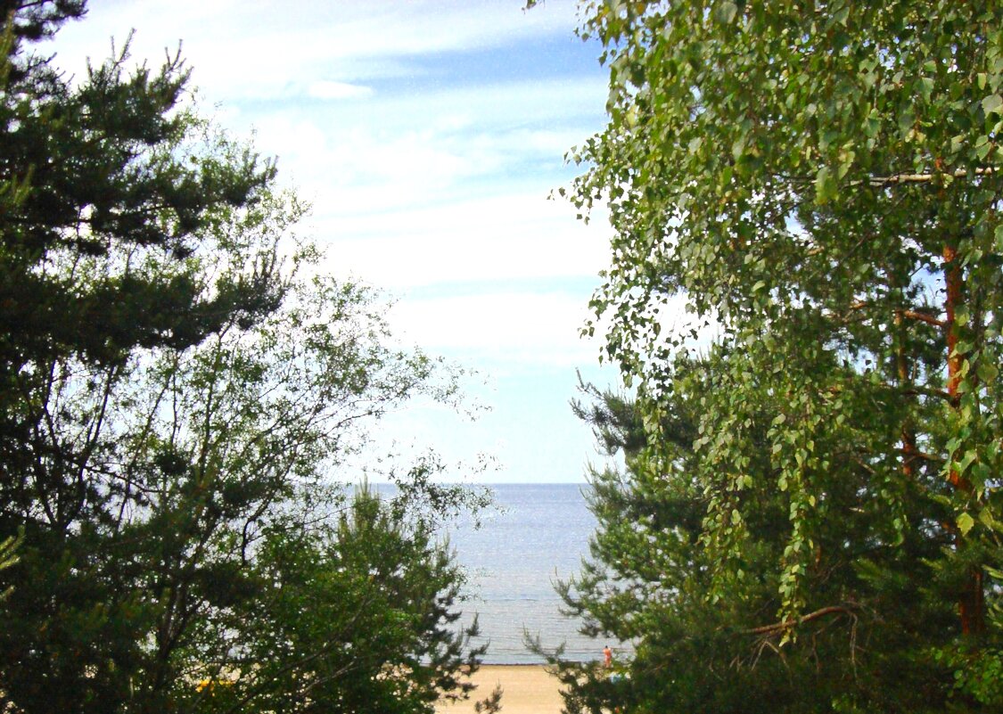 море - марта Камушкина