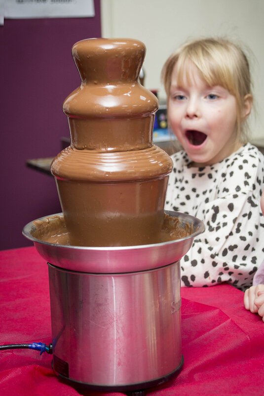 Радость шоколада - Тамара Федорова