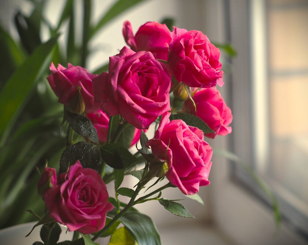 В ожидании тепла и солнца... - Магомед . В ожидании тепла и солнца... - Магомед .