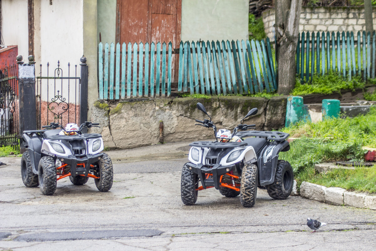 Голубь & квадроциклы - Коля Лукашов