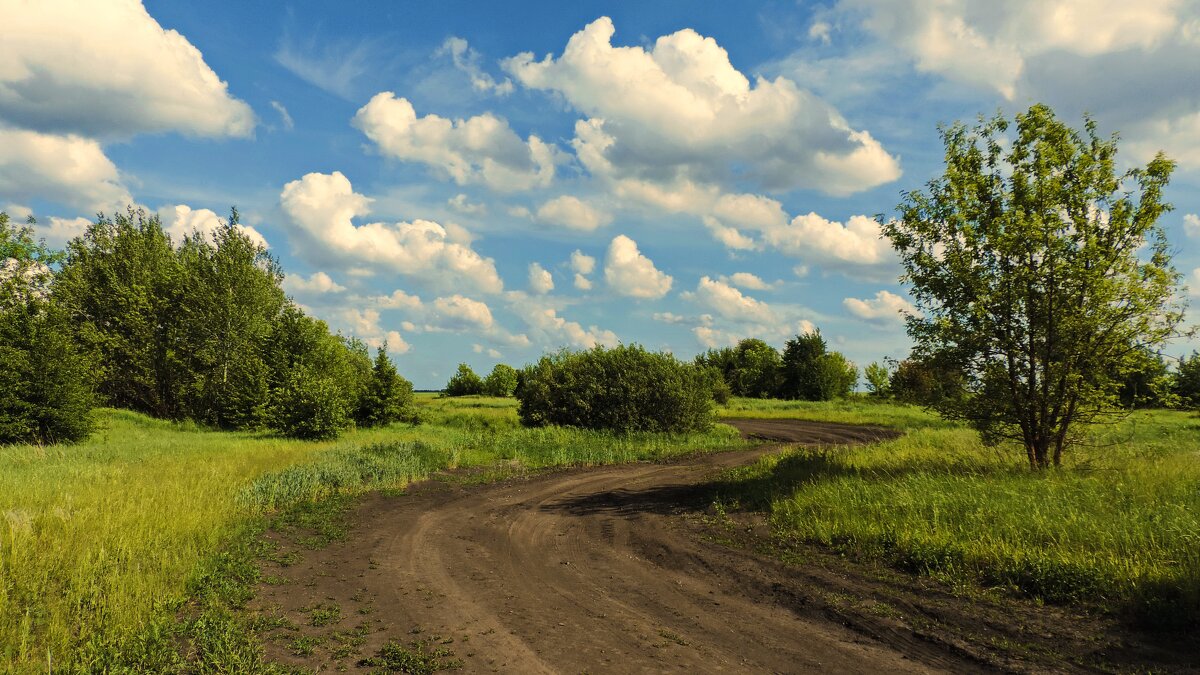 По извилистой дороге. - Татьяна Нефедьева. По извилистой дороге. - Татьяна Нефедьева.