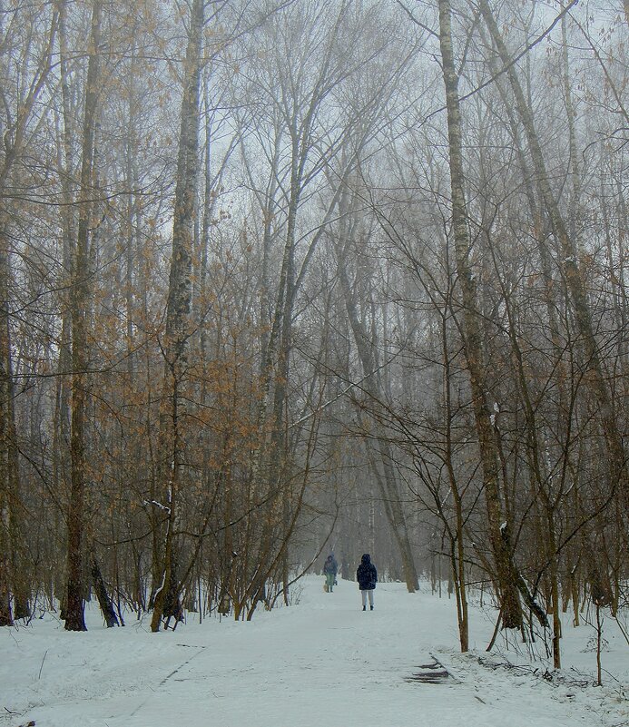 Туман - Леонид leo