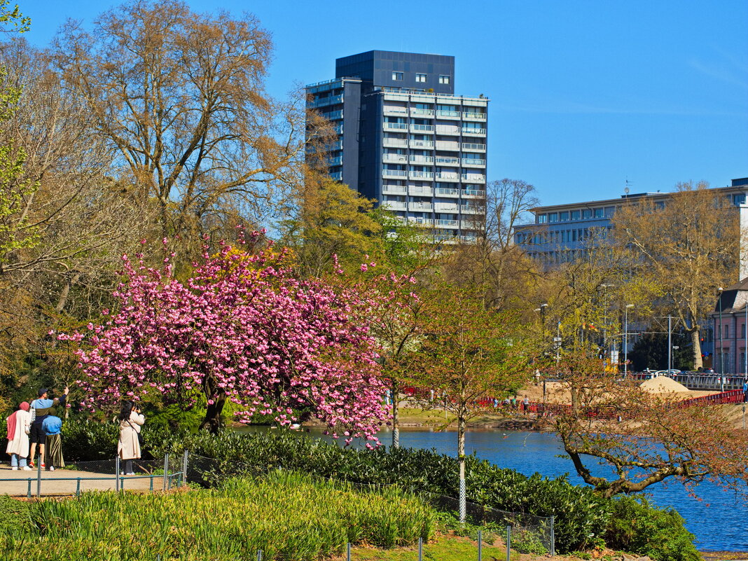 *** - Witalij Loewin *** - Witalij Loewin