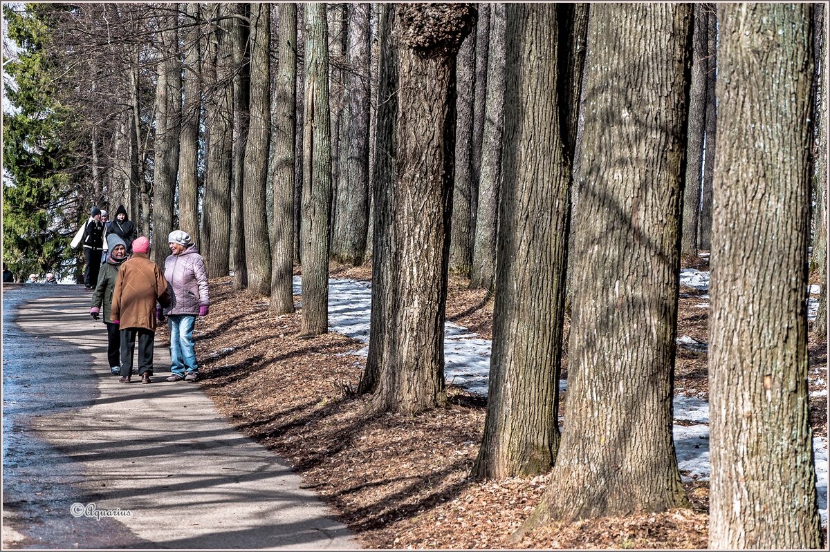 Под апрельским солнцем... - Aquarius - Сергей