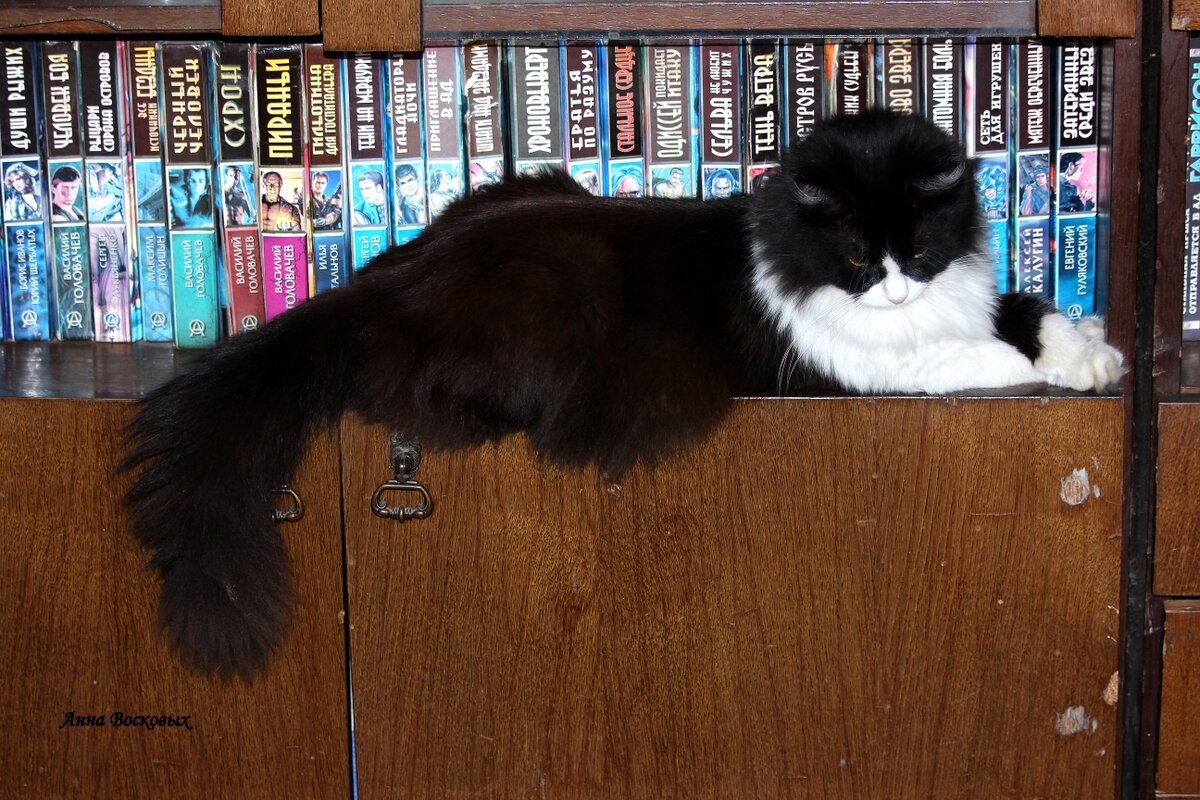 Зая любитель фантастики! - Восковых Анна Васильевна Зая любитель фантастики! - Восковых Анна Васильевна