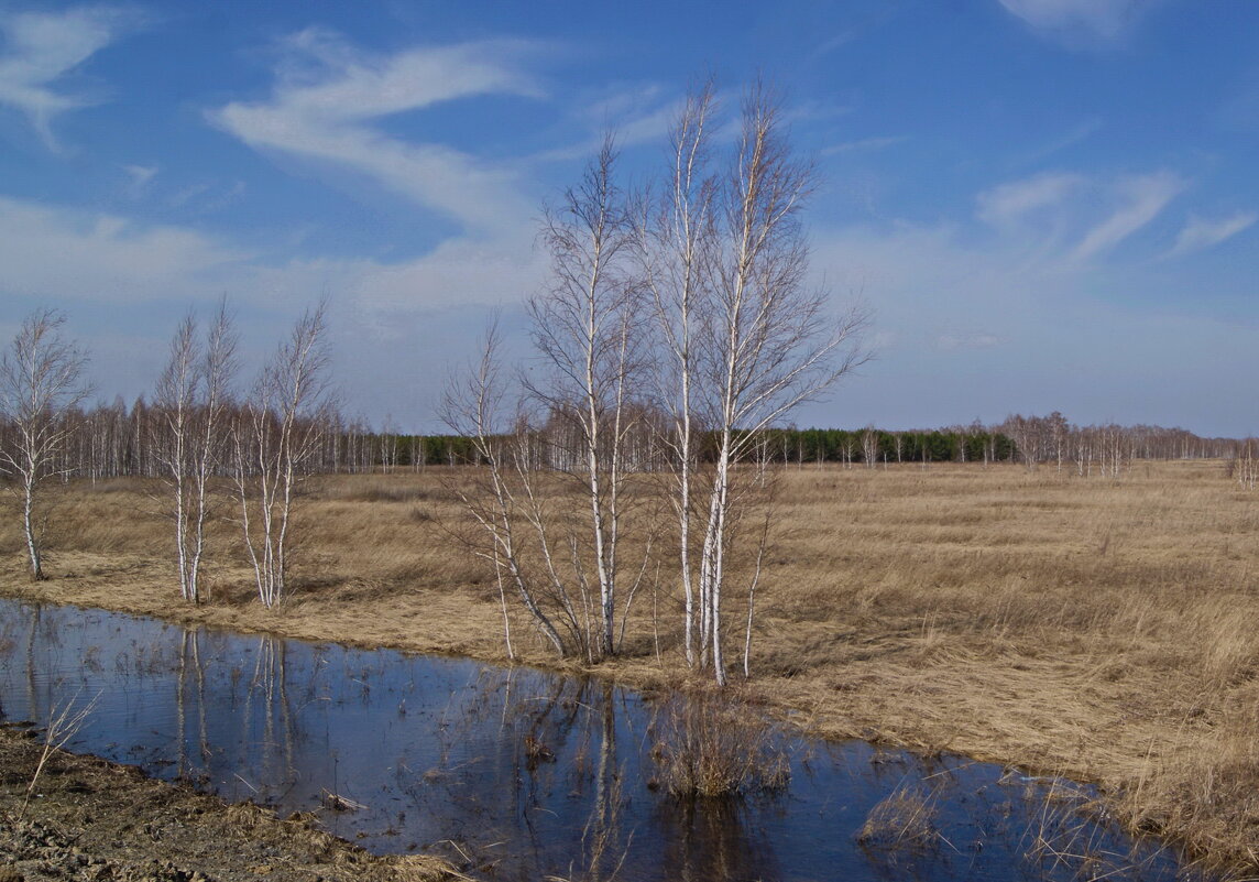Весеннее. - сергей ермошкин