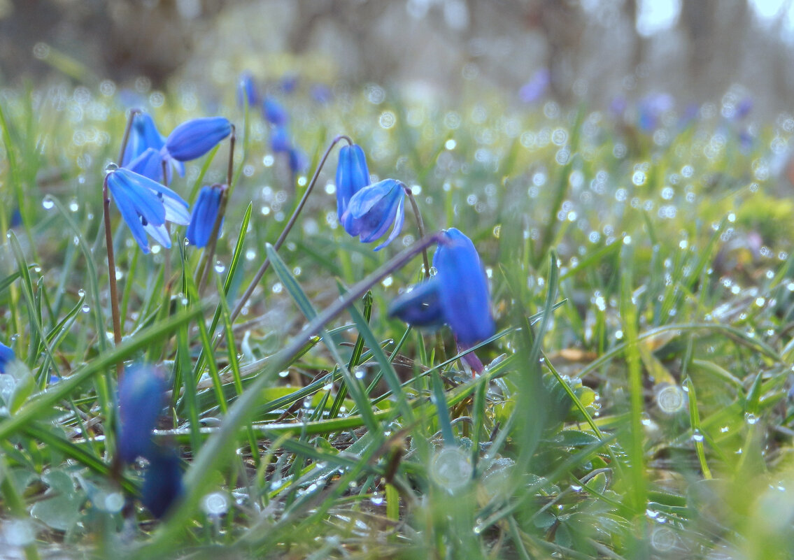 *** - Лера *** - Лера