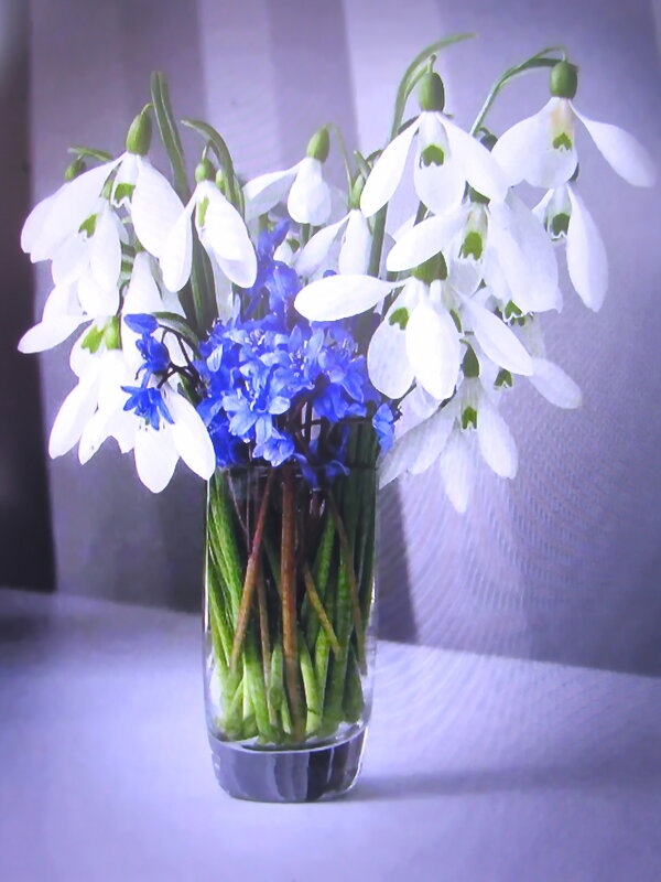 Нежный букетик - Людмила Смородинская Нежный букетик - Людмила Смородинская