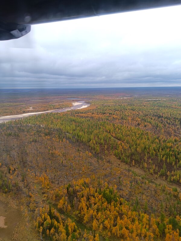 Тундра - Павел Накоряков