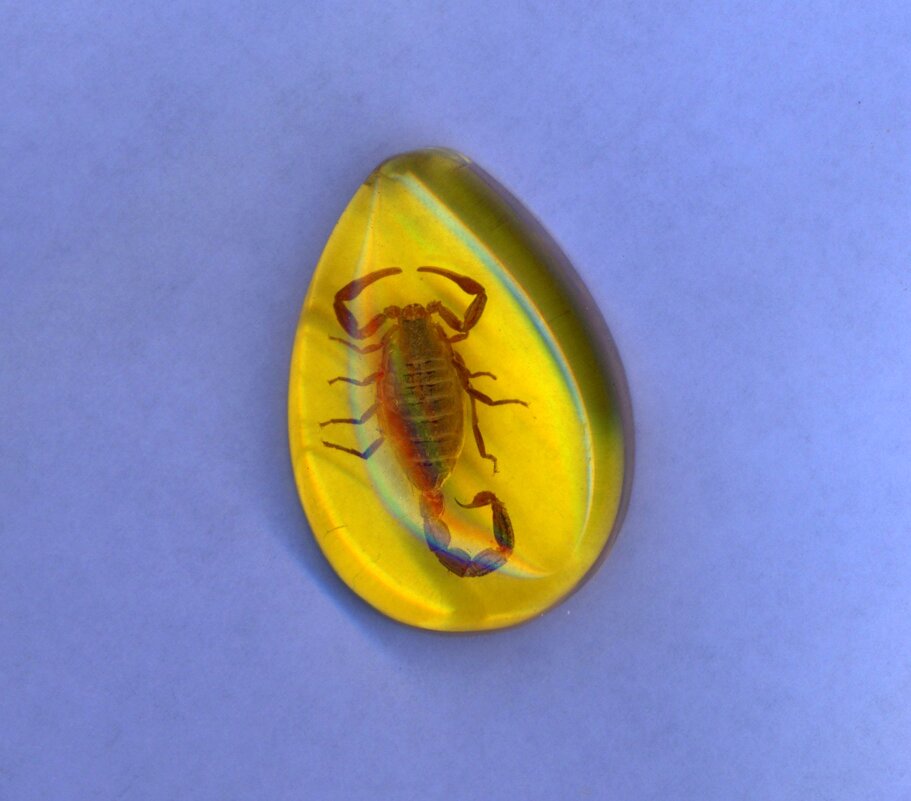 Sc - Андрей Л. В.