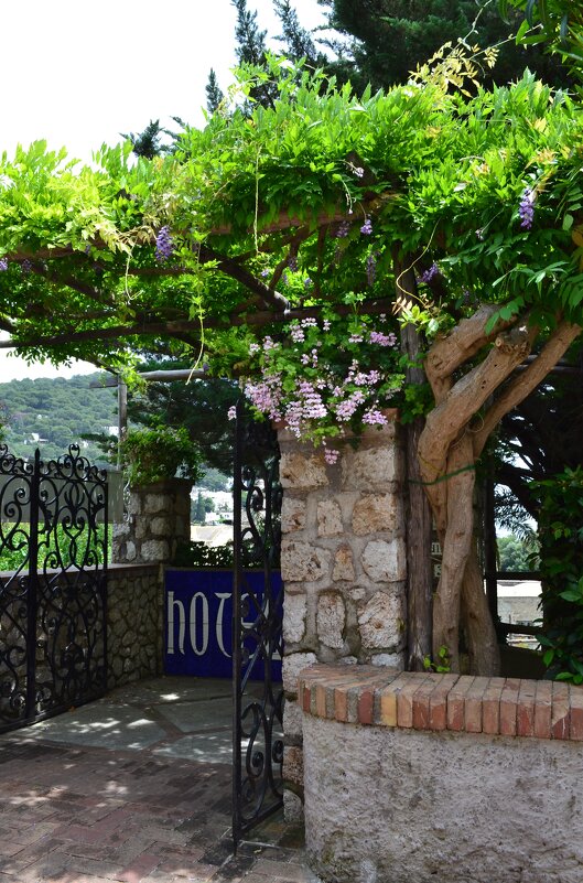 Закоулки острова Капри - Ольга 