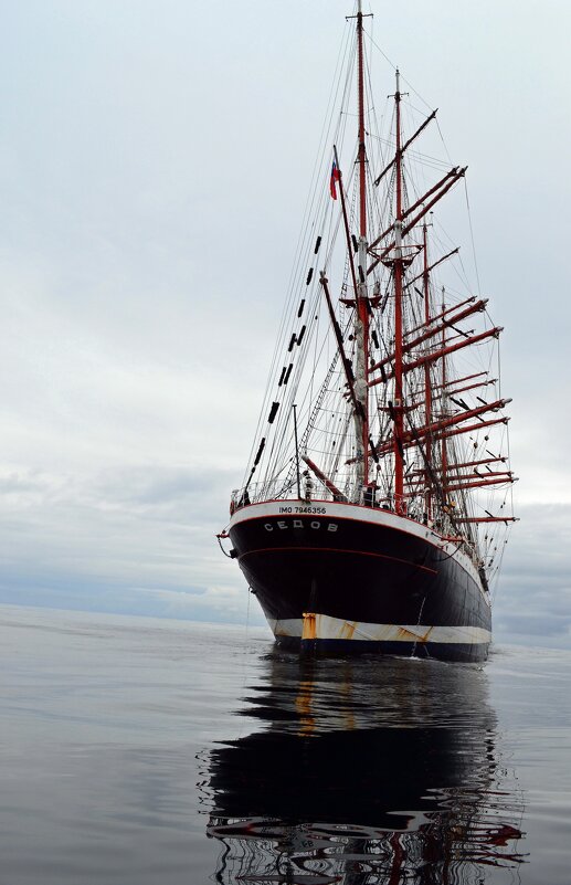 По морям, по волнам - Ольга По морям, по волнам - Ольга