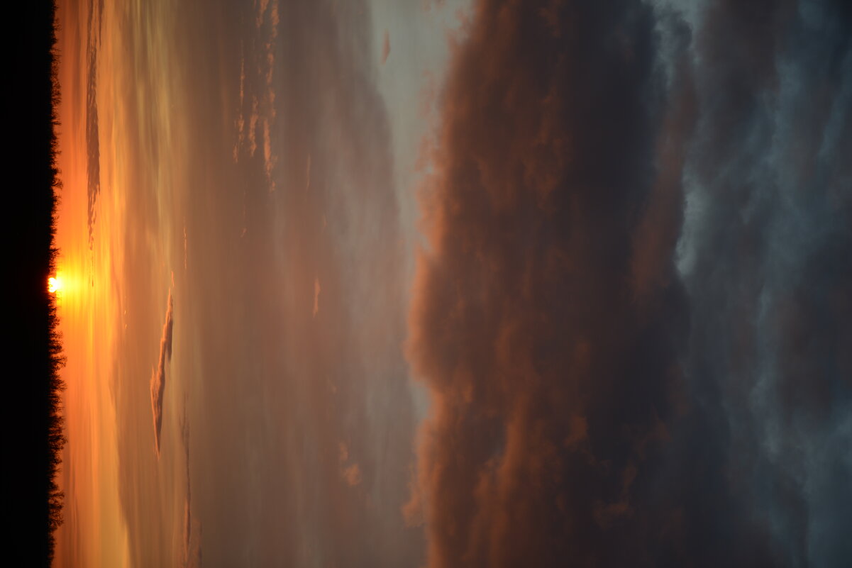 Восход - Алексей Коренко