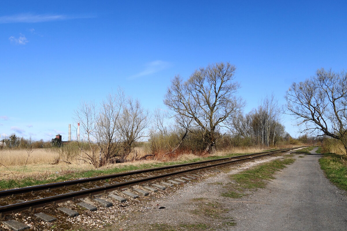 Городские окраины - Рита Симонова