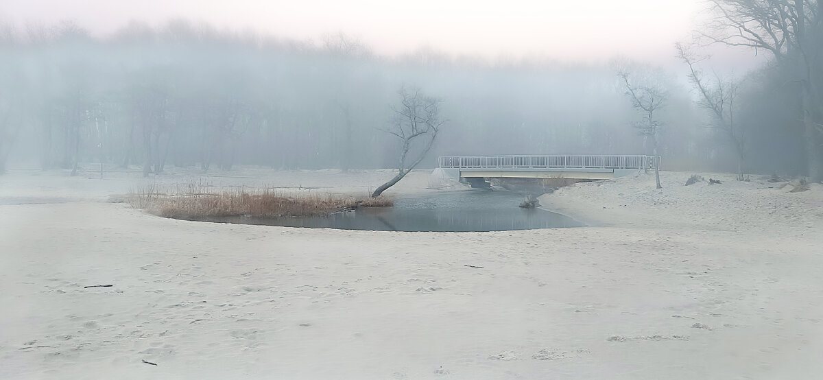Белый туман - Сергей Карачин Белый туман - Сергей Карачин