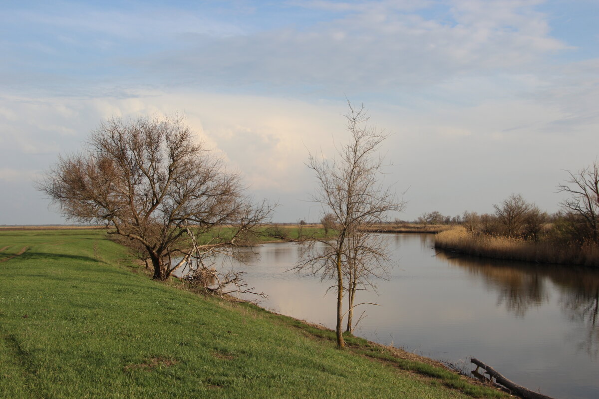 *** - Виктор *** - Виктор