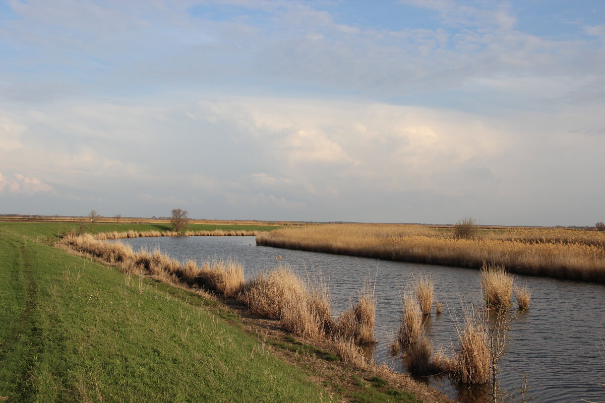Местная река. - Виктор Местная река. - Виктор