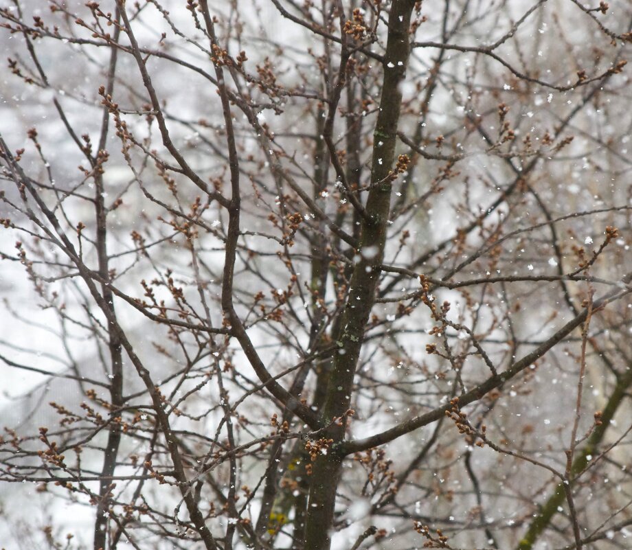 Последняя неделя... - Юрий Куликов Последняя неделя... - Юрий Куликов