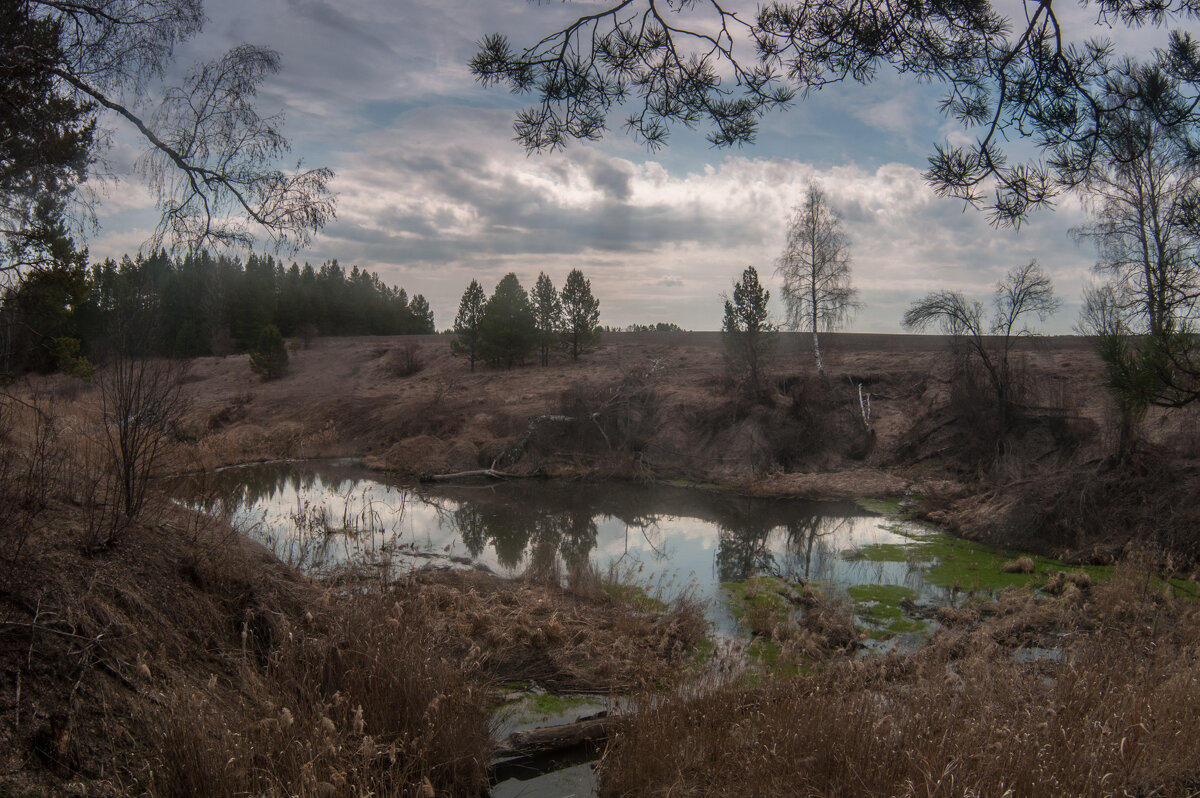 ... - Владимир Новиков