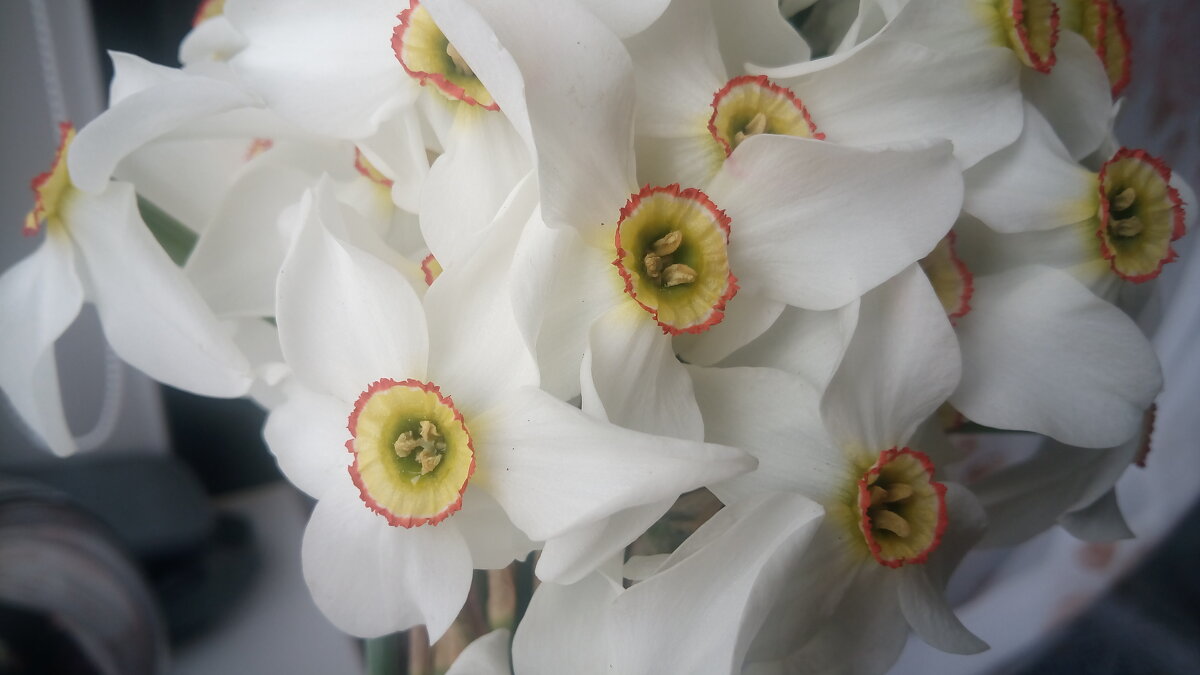 ,,, - Сергей Тимоновский