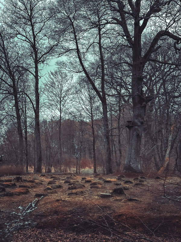 Печальный пейзаж - Татьяна Аникина