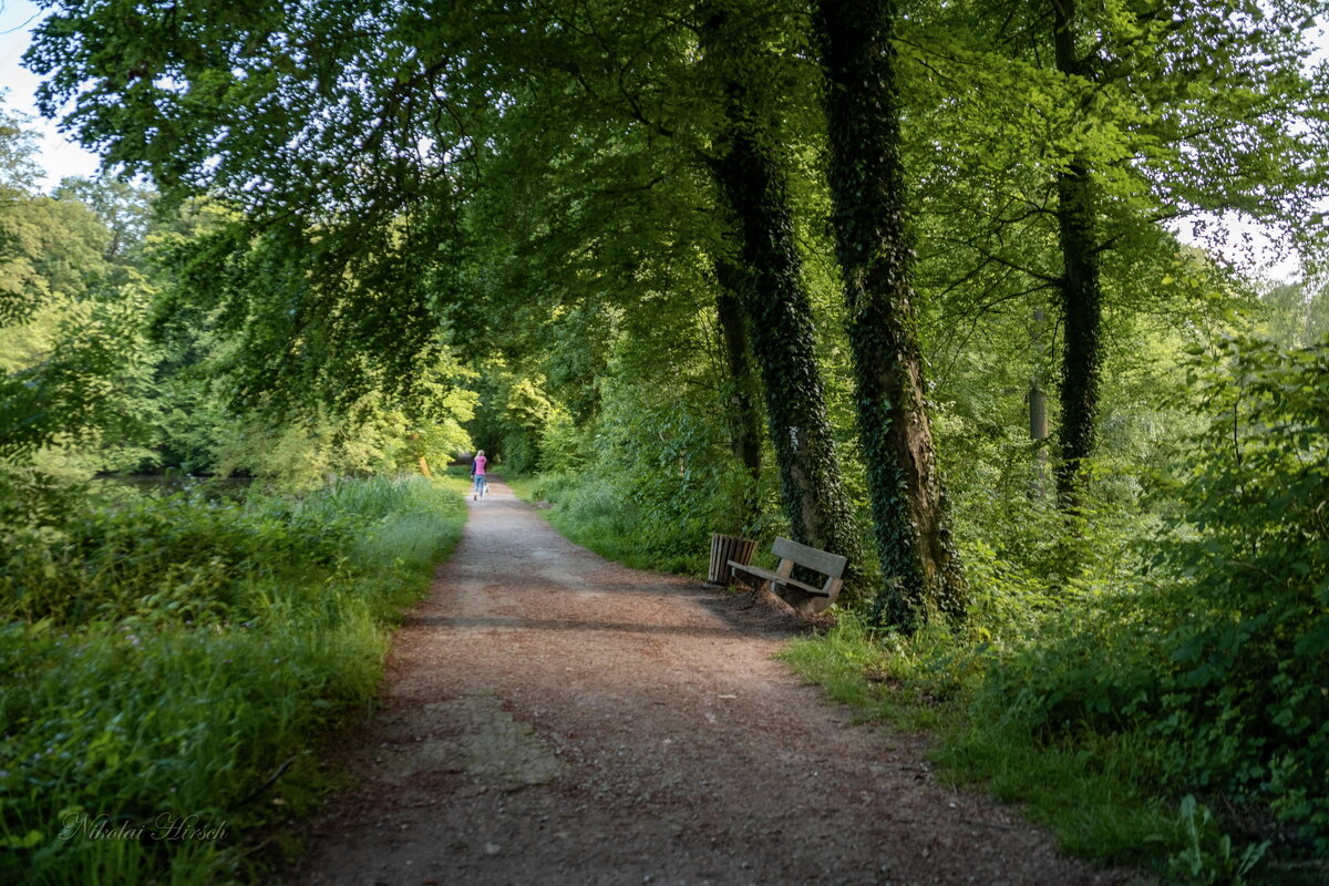 В зелёном царстве... - Николай Гирш В зелёном царстве... - Николай Гирш