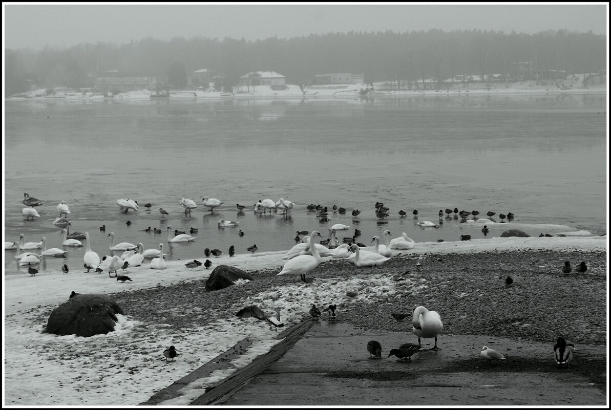 Ожидание - Aleksandr Gal Ожидание - Aleksandr Gal