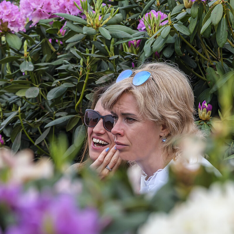 Разные эмоции. - Александр 