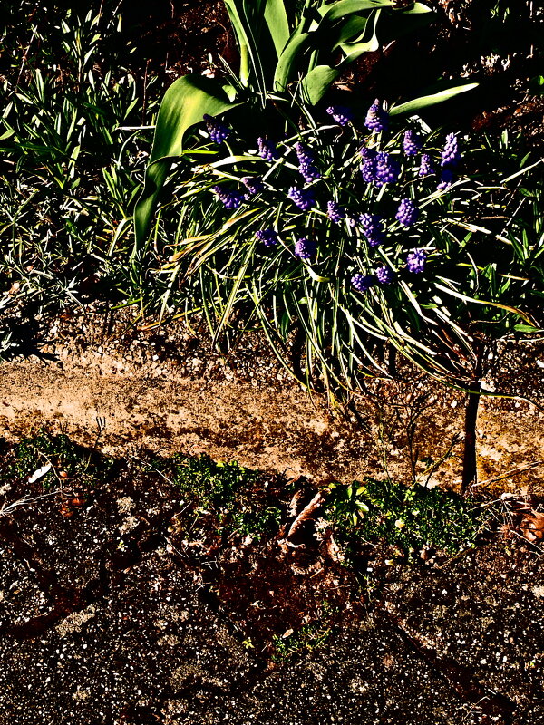 Весенние зарисовки 82 - Алексей Кузнецов