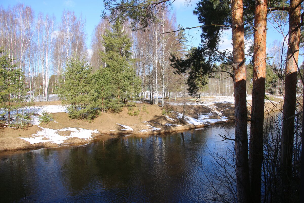 Стояли три сосны... - Наталья Герасимова