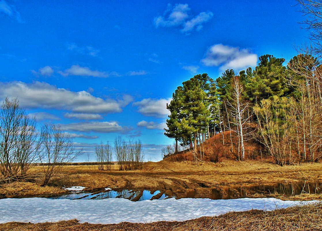 Май...На краю кедрового бора! - Владимир 