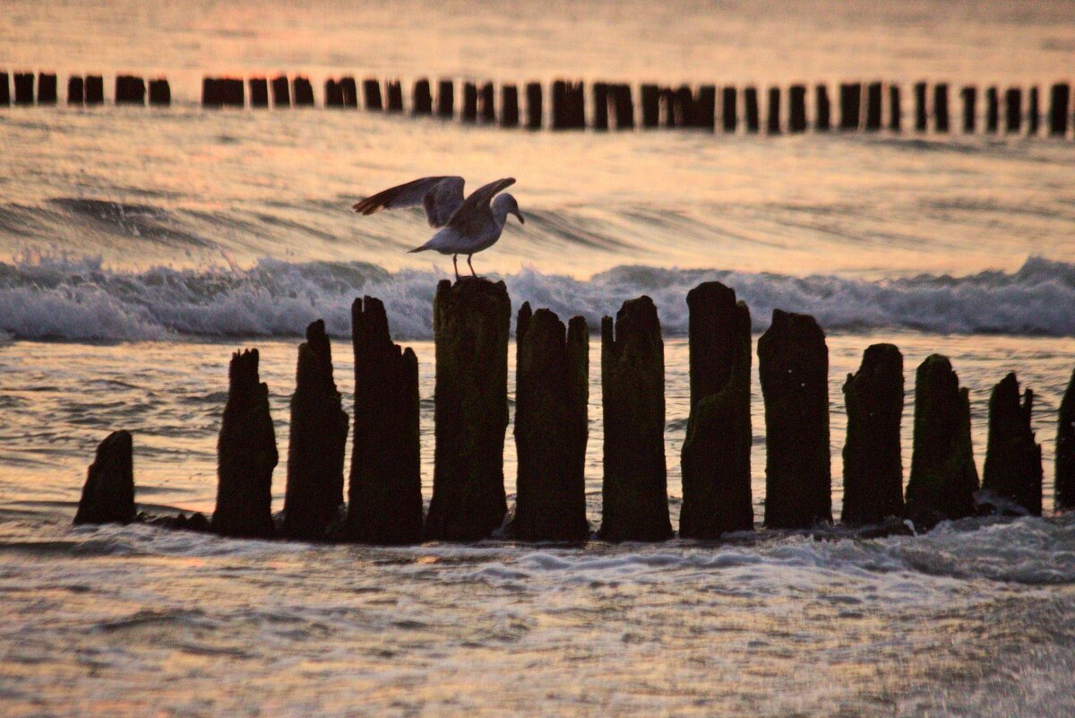 Балансирующий - Юрий. Шмаков