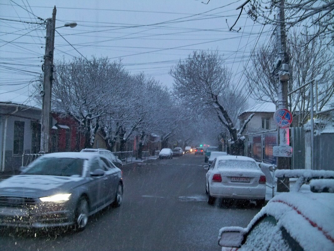 Весенняя зима - Валентин Семчишин