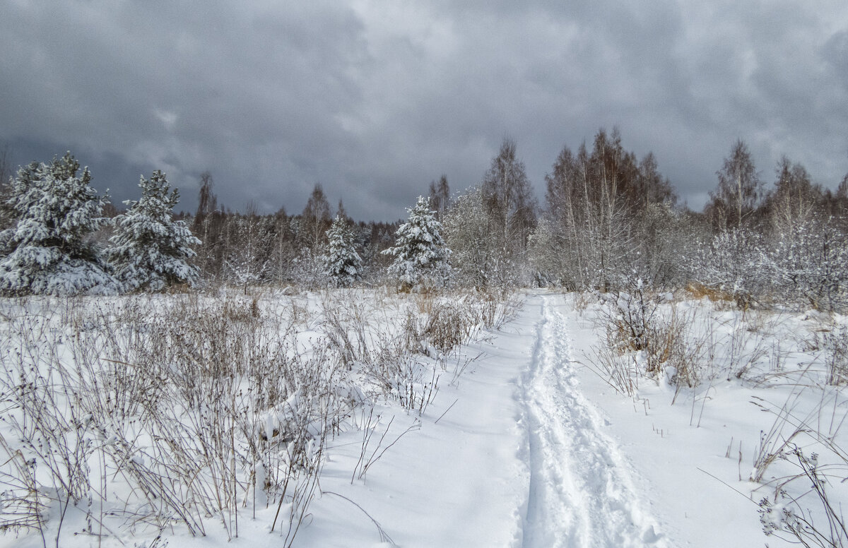 После апрельской метели - Сергей Цветков После апрельской метели - Сергей Цветков