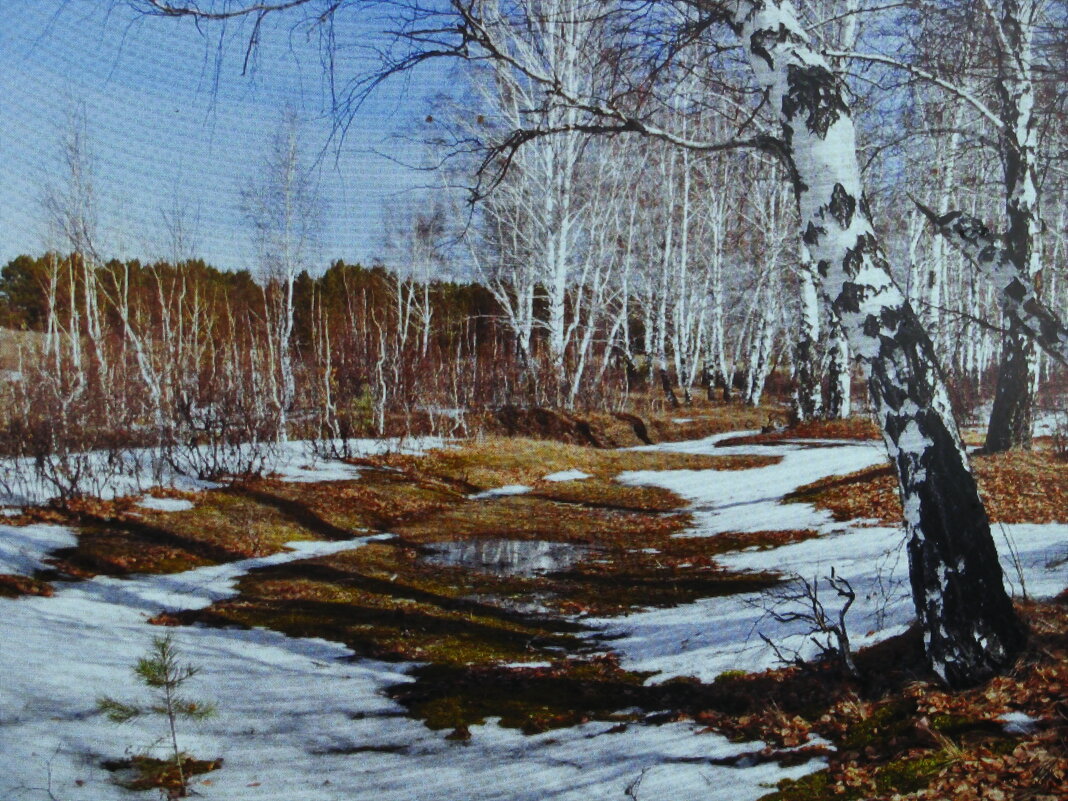 Весенняя красота - Людмила Смородинская Весенняя красота - Людмила Смородинская