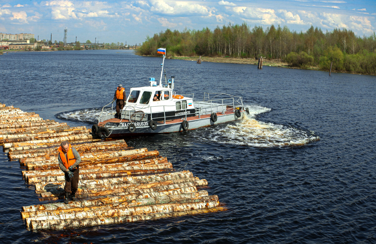 Для сохранности сырья - Александр Силинский